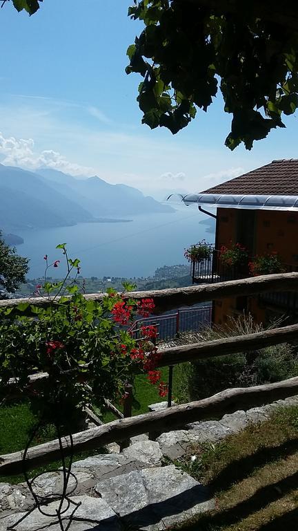 Agriturismo Zertin กราเวโดนา ภายนอก รูปภาพ