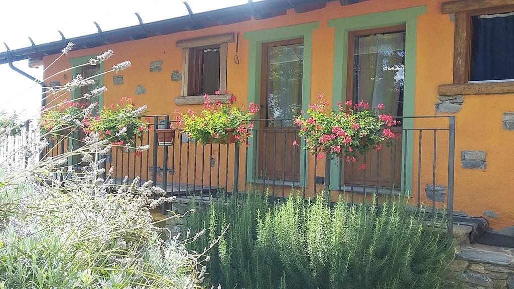 Agriturismo Zertin กราเวโดนา ภายนอก รูปภาพ