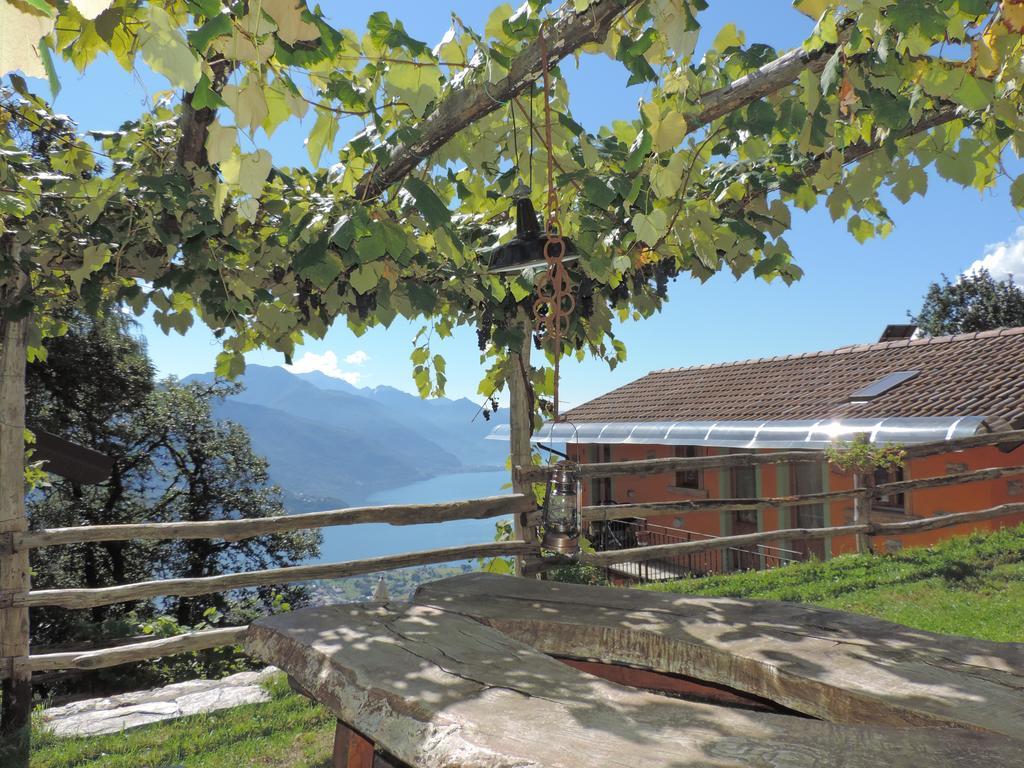 Agriturismo Zertin กราเวโดนา ภายนอก รูปภาพ